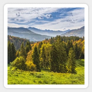 SCENERY 87 - Mountainous Landform Forest Nature Ecosystem Magnet